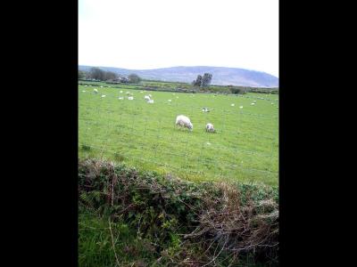 Dingle area from bus window