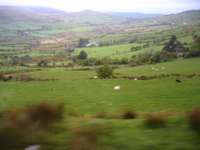 Dingle area from bus window