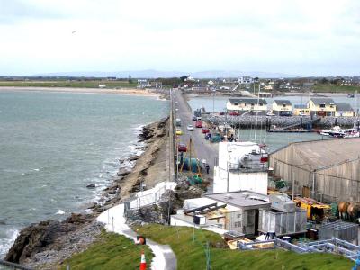Fenit - I went to Fenit because of distant roots