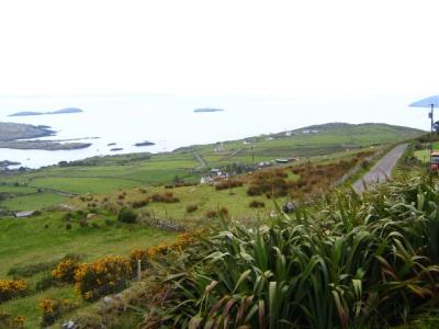 along the Ring of Kerry