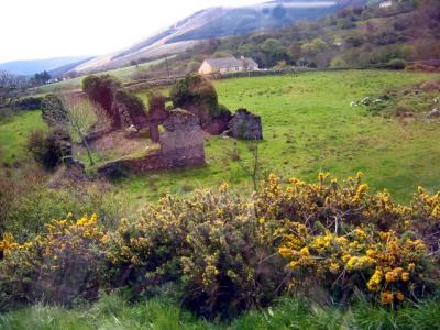 along the Ring of Kerry