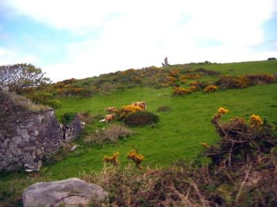Ireland - along the Ring of Kerry