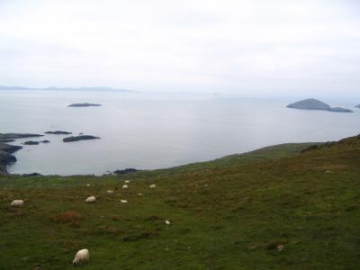 along the Ring of Kerry