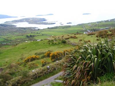 along the Ring of Kerry