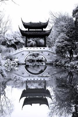 CRW_7705.jpg