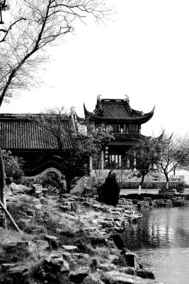 CRW_8090.jpg