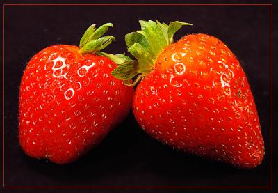 05.27.04  Strawberries