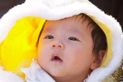 CRW_6982_crop-1.jpg