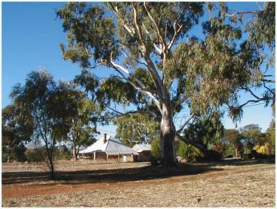 Church-yard  & Millers Cottage