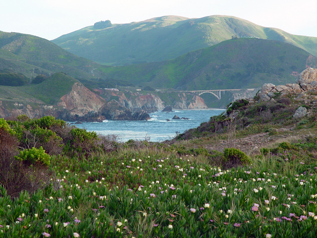Rocky Point