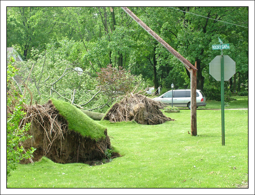 DSCF4065.jpg