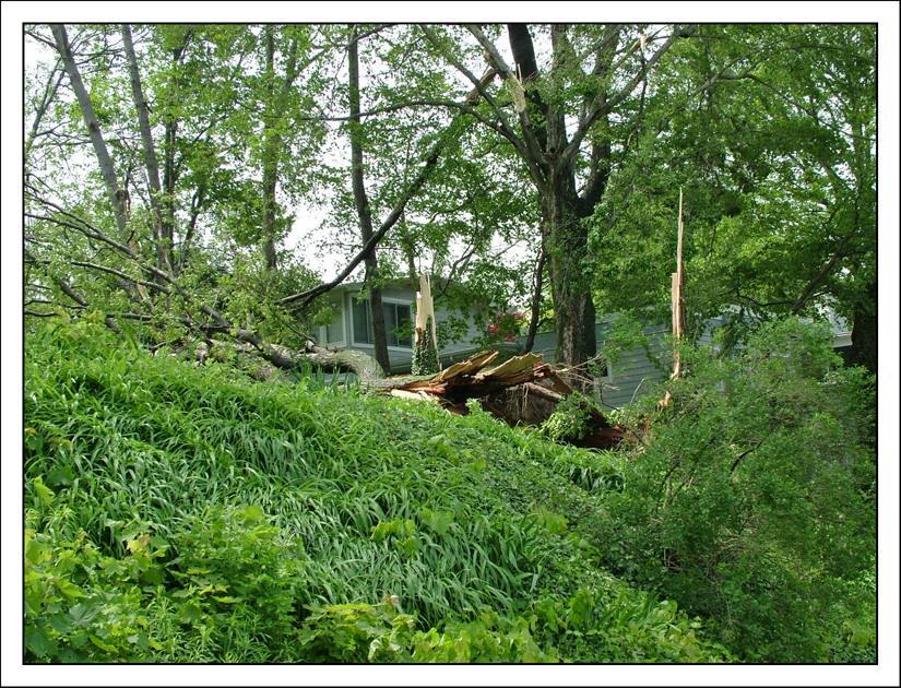 DSCF4070.jpg