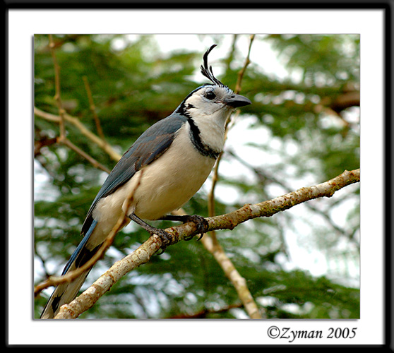 DSC_0824 PAD.jpg