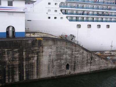 Mule Pulling Giant Cruise Ship