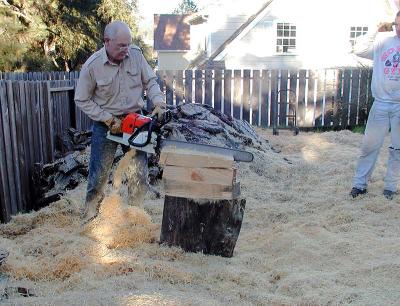 THIS SAW CUTS 3 s.jpg