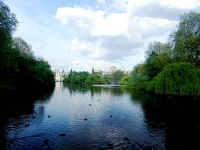 st james' park.jpg