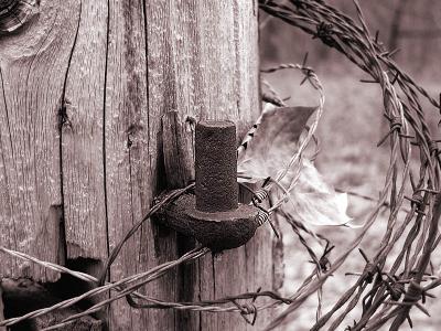 P1235227gate post.jpg