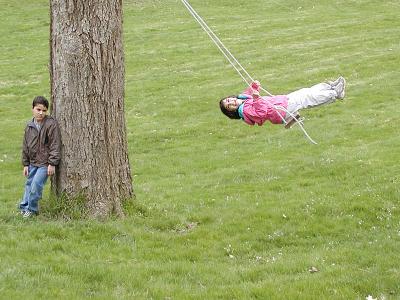 P4105534only one swing.jpg