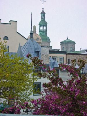 DSC00142_e.jpg