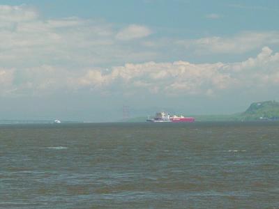 DSC00185-1.jpg