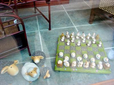 DSC00223_e.jpg