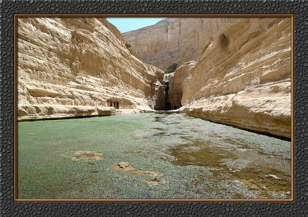 Negev - The Ovdat oasis