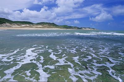 Baia formosa4.jpg