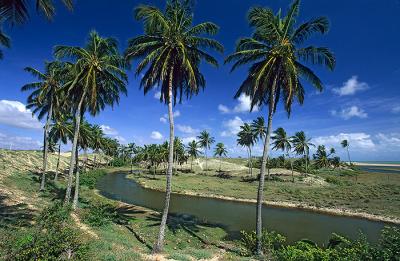 Praia de Maracajaú