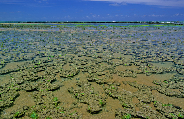 Baia Formosa2