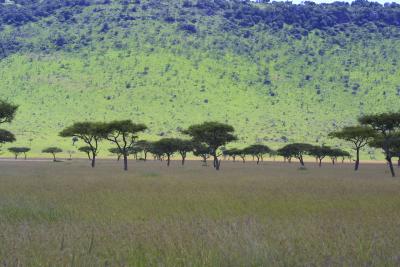 Masai Mara.jpg