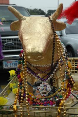 The calf distributed many KOE medallions to revelers