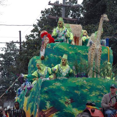 Krewe of Thoth Parade