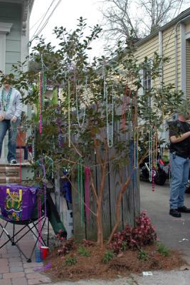 Krewe of Thoth Parade