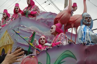 Krewe of Thoth Parade