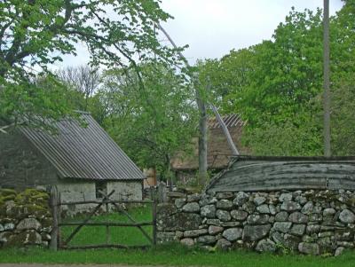 005 They're supposed to be on top of the stone wall.jpg