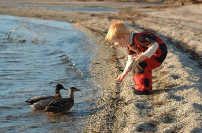 Here ducky ducky