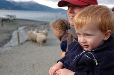 We got those sheep