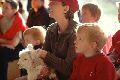 It's a lamb
