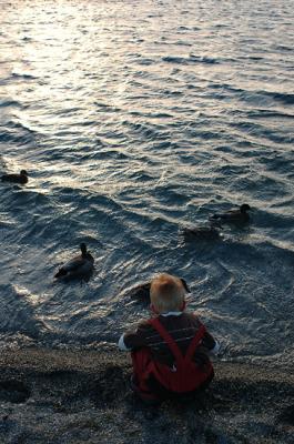 More Duckies