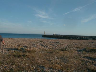 View west towards Newhaven harbour
