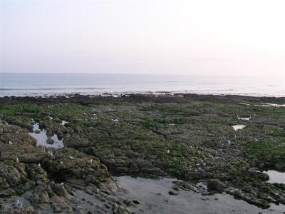 Saltdean beach