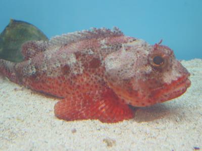 110-1028_CRW.jpg
