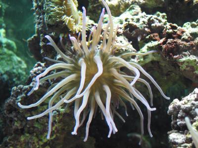 110-1042_CRW.jpg