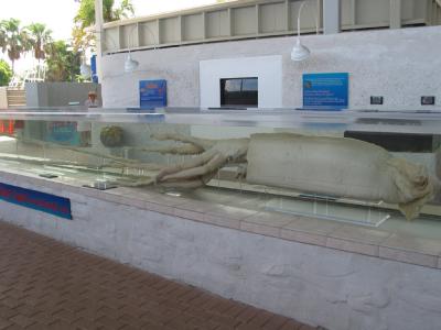 110-1050_CRW.jpg