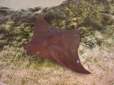 110-1053_CRW.jpg