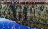 Fishin Hole Reflection