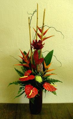 u46/aqohana/medium/33937923.DSCF5043.jpg