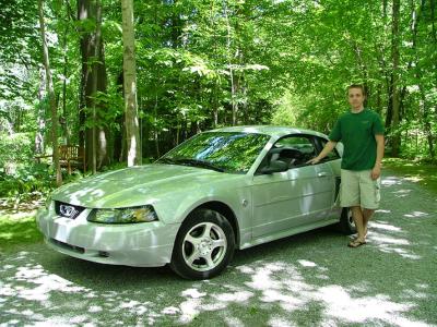 Mustang on the Trail