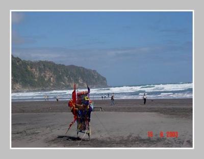 u46/archiaston/medium/35387808.Parangtritis9.jpg
