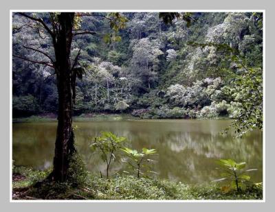 Telaga Warna